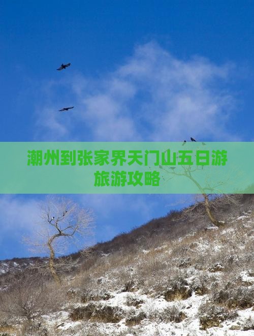 潮州到张家界天门山五日游旅游攻略