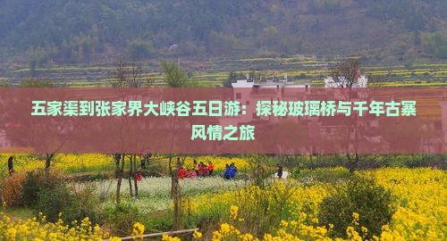 五家渠到张家界大峡谷五日游：探秘玻璃桥与千年古寨风情之旅