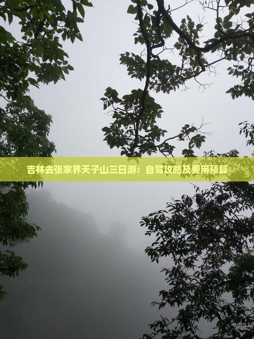 吉林去张家界天子山三日游：自驾攻略及费用预算