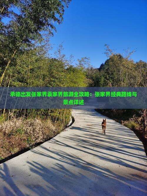 承德出发张家界袁家界旅游全攻略：张家界经典路线与景点详述
