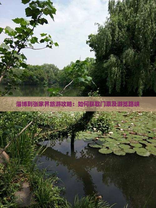 淄博到张家界旅游攻略：如何获取门票及游览路峡