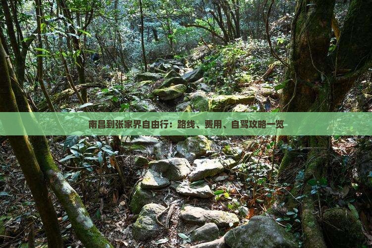 南昌到张家界自由行：路线、费用、自驾攻略一览