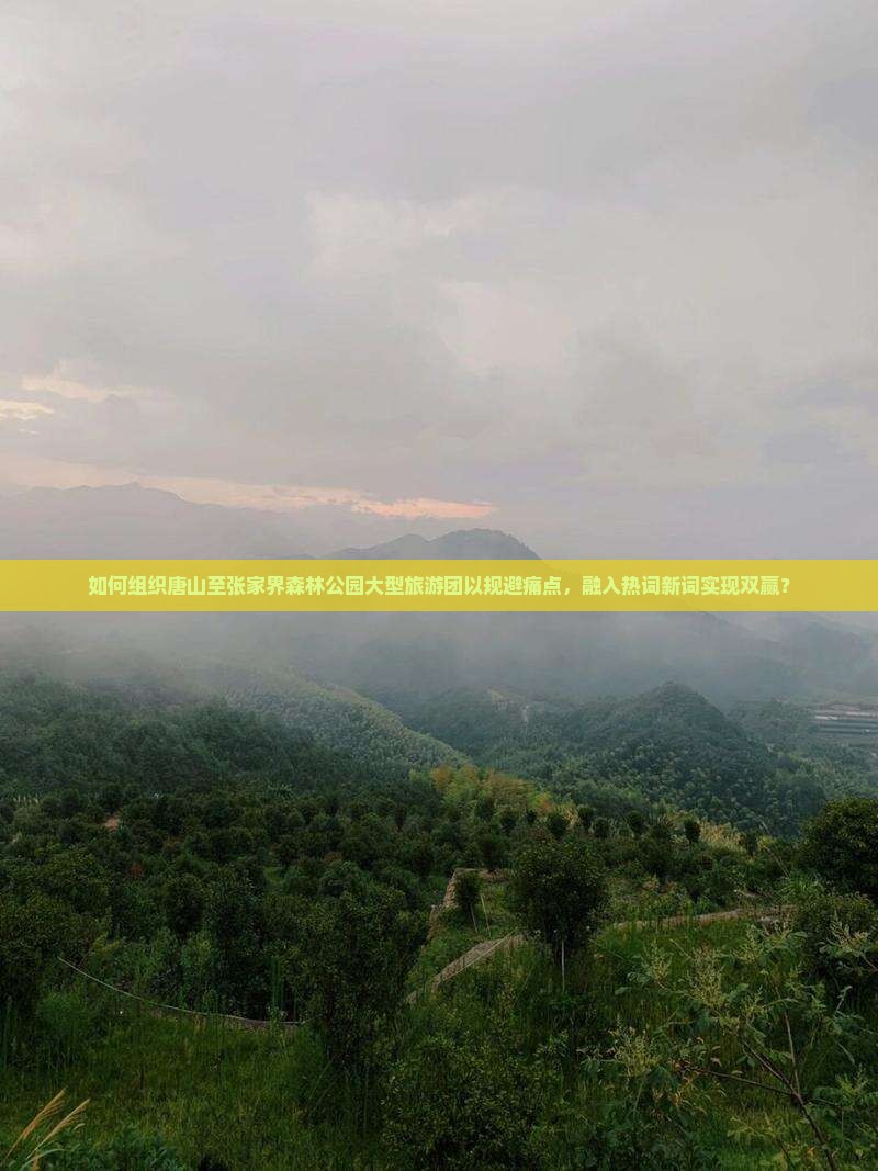 如何组织唐山至张家界森林公园大型旅游团以规避痛点，融入热词新词实现双赢？