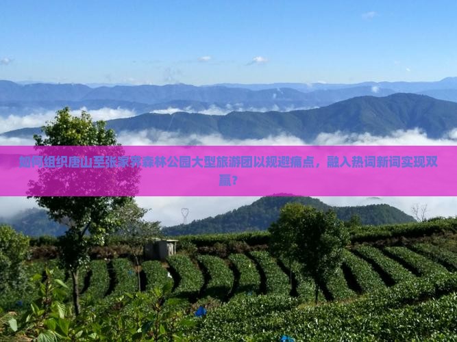 如何组织唐山至张家界森林公园大型旅游团以规避痛点，融入热词新词实现双赢？
