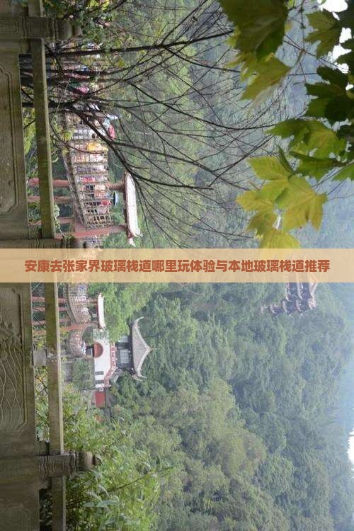 安康去张家界玻璃栈道哪里玩体验与本地玻璃栈道推荐