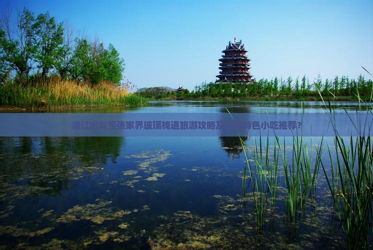 湛江出发至张家界玻璃栈道旅游攻略及当地特色小吃推荐？
