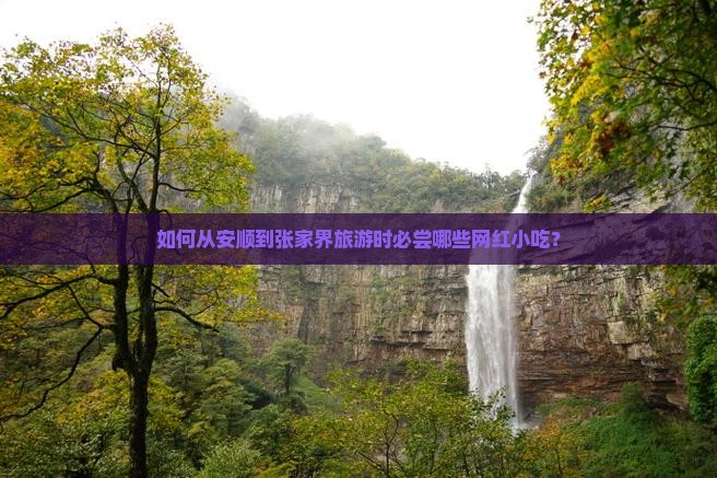 如何从安顺到张家界旅游时必尝哪些网红小吃？