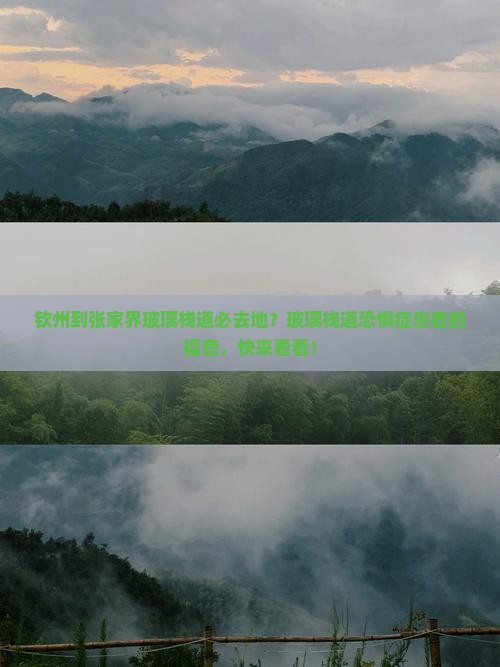钦州到张家界玻璃栈道必去地？玻璃栈道恐惧症患者的福音，快来看看！