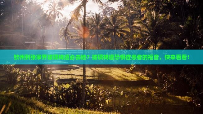钦州到张家界玻璃栈道必去地？玻璃栈道恐惧症患者的福音，快来看看！