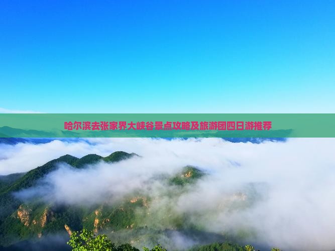 哈尔滨去张家界大峡谷景点攻略及旅游团四日游推荐