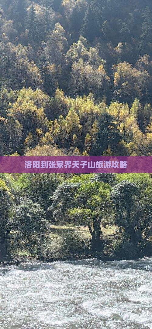 洛阳到张家界天子山旅游攻略