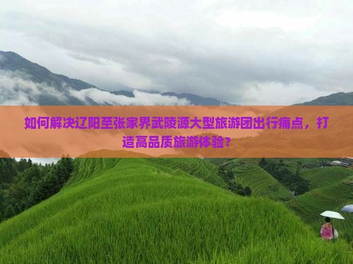 如何解决辽阳至张家界武陵源大型旅游团出行痛点，打造高品质旅游体验？