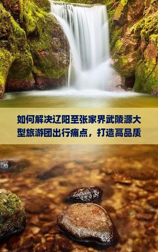 如何解决辽阳至张家界武陵源大型旅游团出行痛点，打造高品质旅游体验？