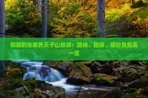 铜陵到张家界天子山旅游：路线、团报、报价及距离一览