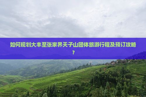 如何规划大丰至张家界天子山团体旅游行程及预订攻略？