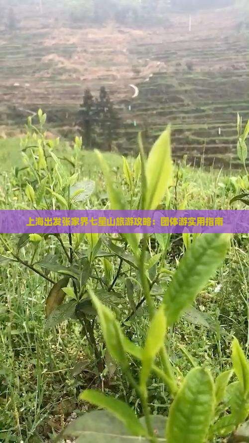 上海出发张家界七星山旅游攻略：团体游实用指南