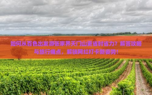 如何从百色出发游张家界天门山更省时省力？解答攻略与旅行痛点，解锁网红打卡新姿势！
