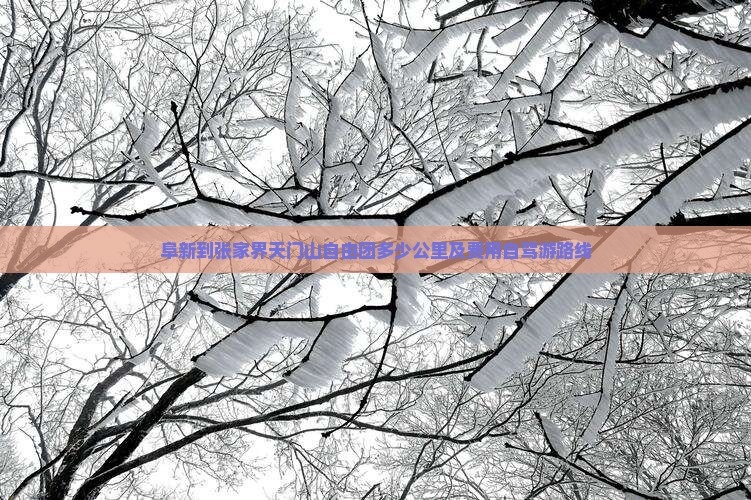 阜新到张家界天门山自由团多少公里及费用自驾游路线