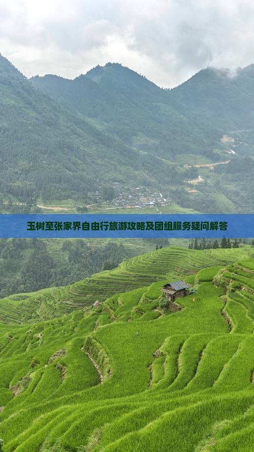 玉树至张家界自由行旅游攻略及团组服务疑问解答