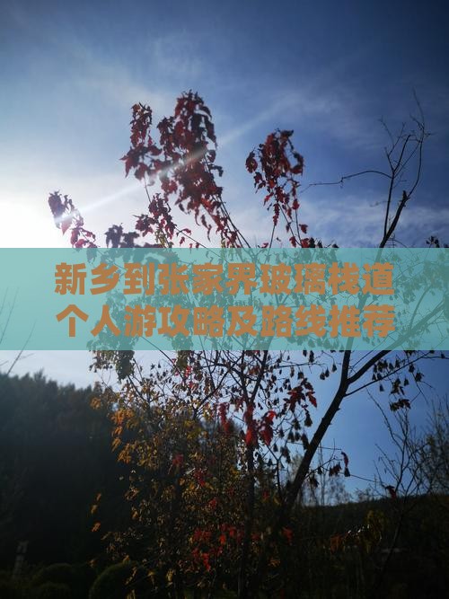 新乡到张家界玻璃栈道个人游攻略及路线推荐