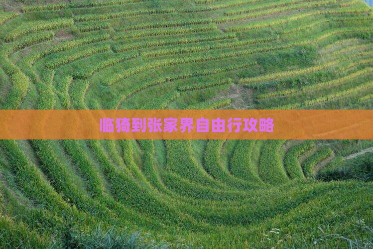 临猗到张家界自由行攻略