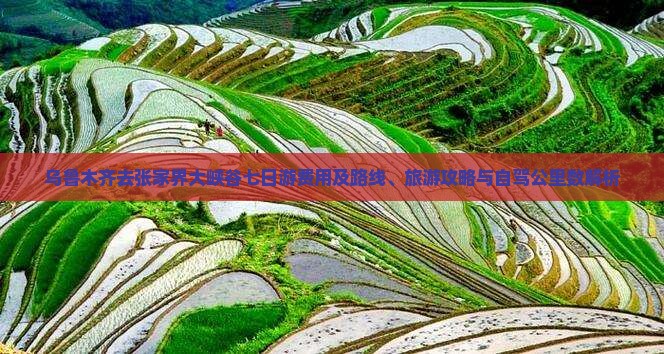 乌鲁木齐去张家界大峡谷七日游费用及路线、旅游攻略与自驾公里数解析 乌鲁木齐去张家界大峡谷七日游费用及路线、旅游攻略与自驾公里数解析