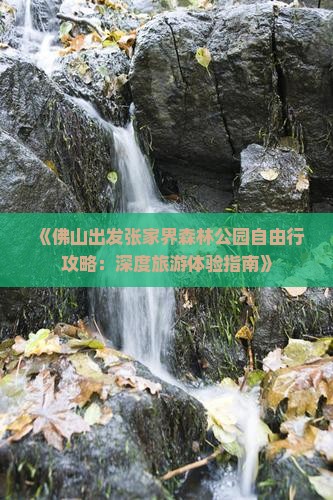 《佛山出发张家界森林公园自由行攻略：深度旅游体验指南》