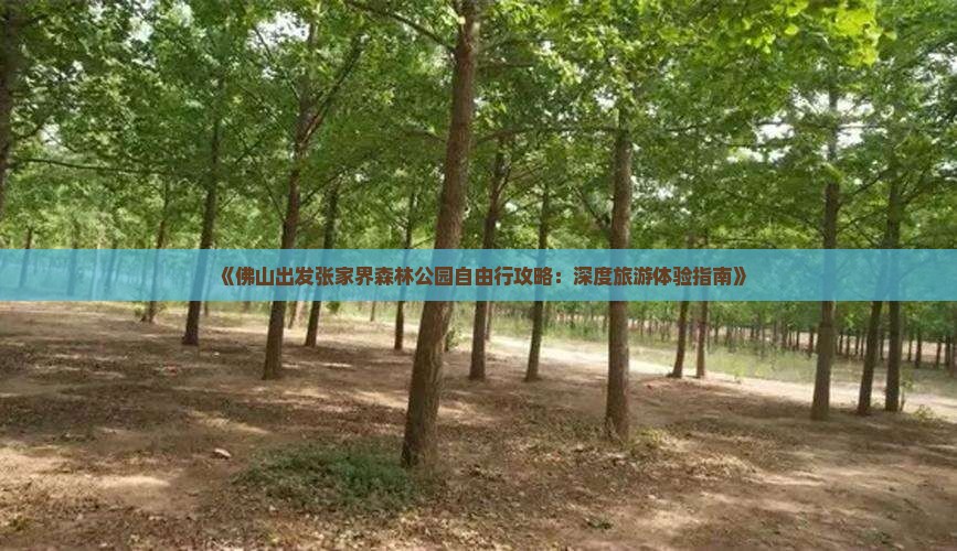 《佛山出发张家界森林公园自由行攻略：深度旅游体验指南》