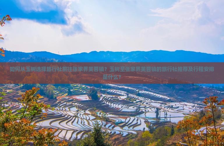 如何从玉树选择旅行社前往张家界芙蓉镇？玉树至张家界芙蓉镇的旅行社推荐及行程安排是什么？