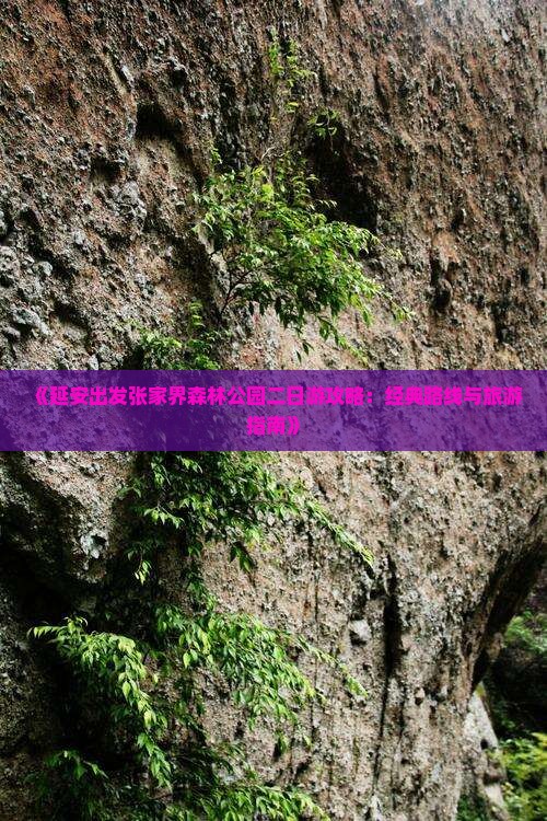《延安出发张家界森林公园二日游攻略：经典路线与旅游指南》