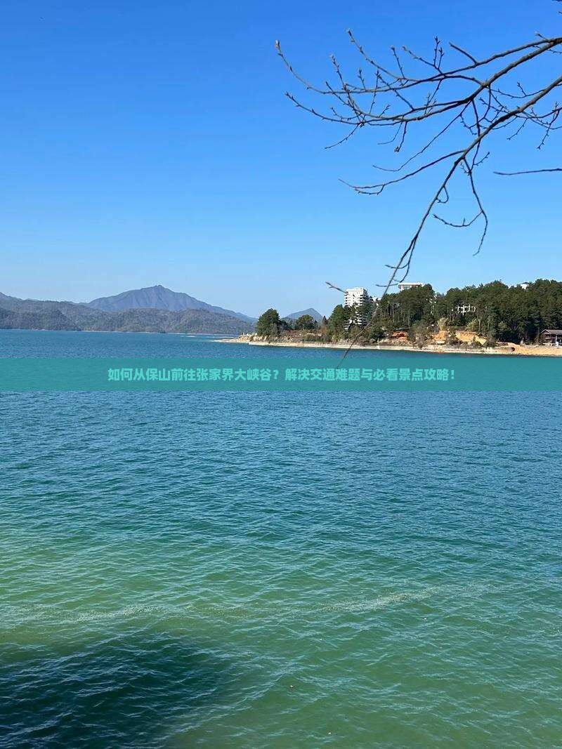 如何从保山前往张家界大峡谷？解决交通难题与必看景点攻略！