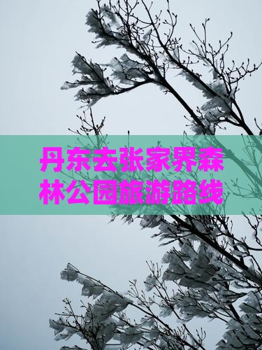 丹东去张家界森林公园旅游路线及费用
