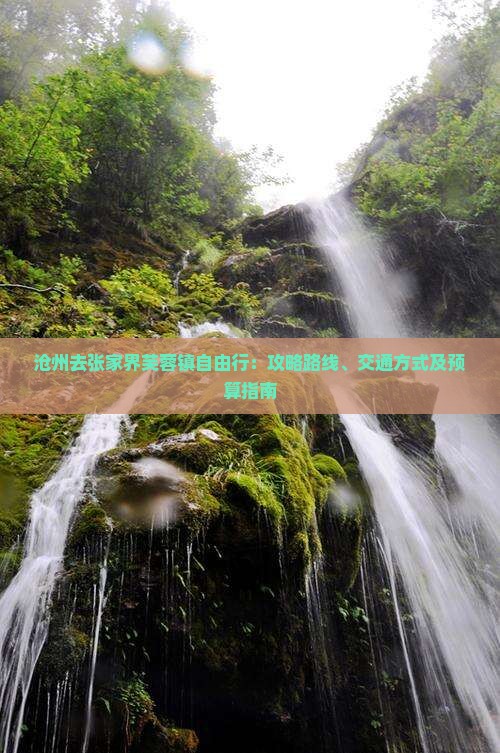 沧州去张家界芙蓉镇自由行：攻略路线、交通方式及预算指南