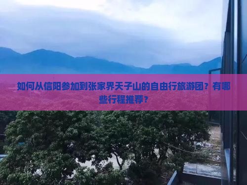 如何从信阳参加到张家界天子山的自由行旅游团？有哪些行程推荐？