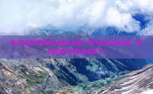遵义到张家界森林公园必去地？旅行规划党看过来，避坑指南与种草清单来了！