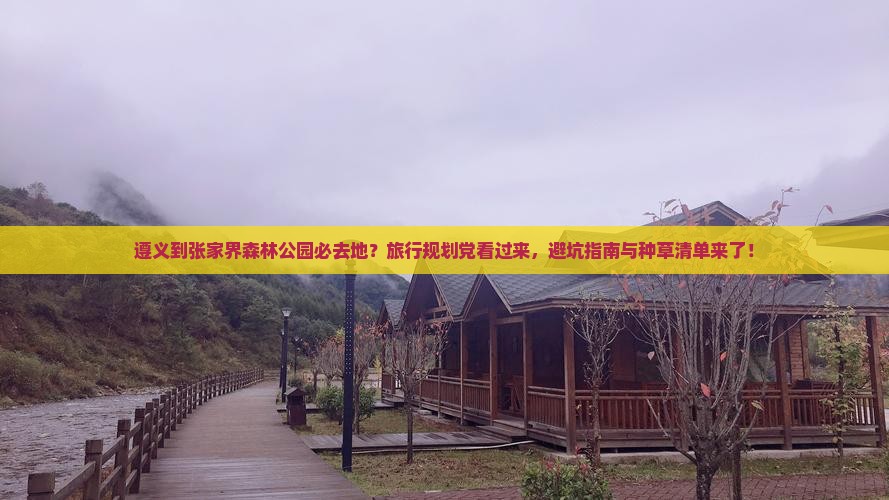 遵义到张家界森林公园必去地？旅行规划党看过来，避坑指南与种草清单来了！
