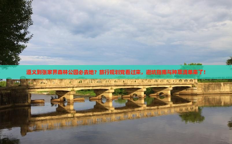 遵义到张家界森林公园必去地？旅行规划党看过来，避坑指南与种草清单来了！