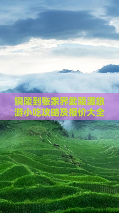 铜陵到张家界武陵源旅游小吃攻略及报价大全