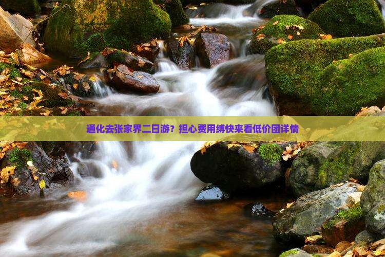 通化去张家界二日游？担心费用缚快来看低价团详情