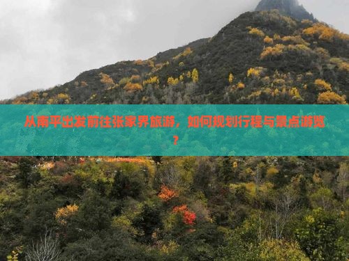 从南平出发前往张家界旅游，如何规划行程与景点游览？