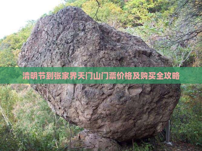 清明节到张家界天门山门票价格及购买全攻略