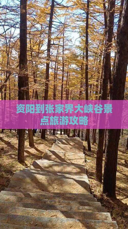 资阳到张家界大峡谷景点旅游攻略