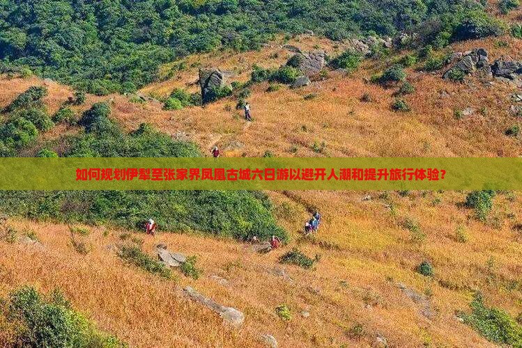 如何规划伊犁至张家界凤凰古城六日游以避开人潮和提升旅行体验？