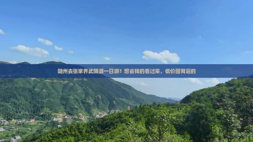 随州去张家界武陵源一日游？想省钱的看过来，低价团背后的