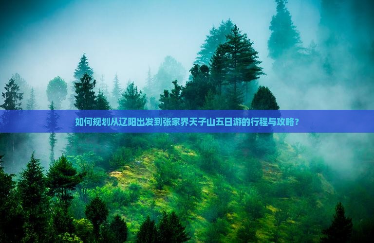 如何规划从辽阳出发到张家界天子山五日游的行程与攻略？