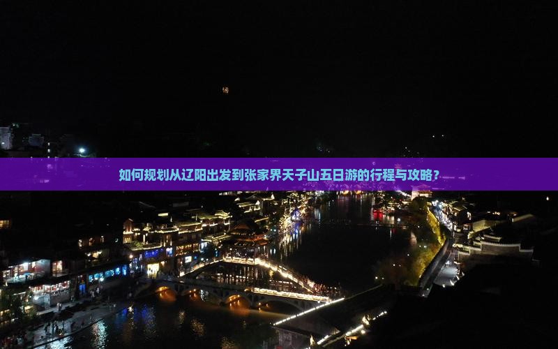 如何规划从辽阳出发到张家界天子山五日游的行程与攻略？
