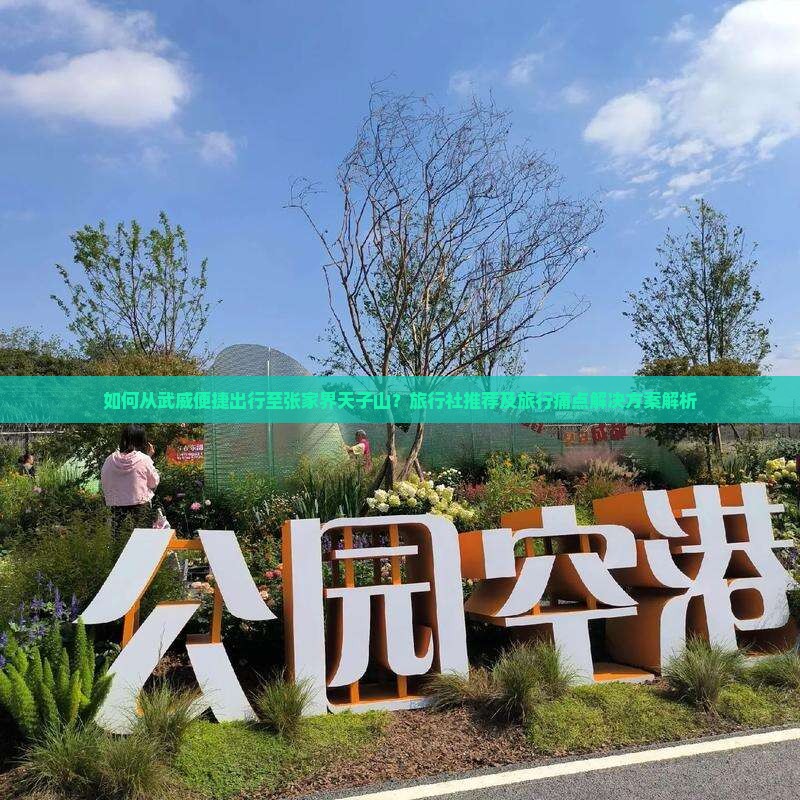 如何从武威便捷出行至张家界天子山？旅行社推荐及旅行痛点解决方案解析
