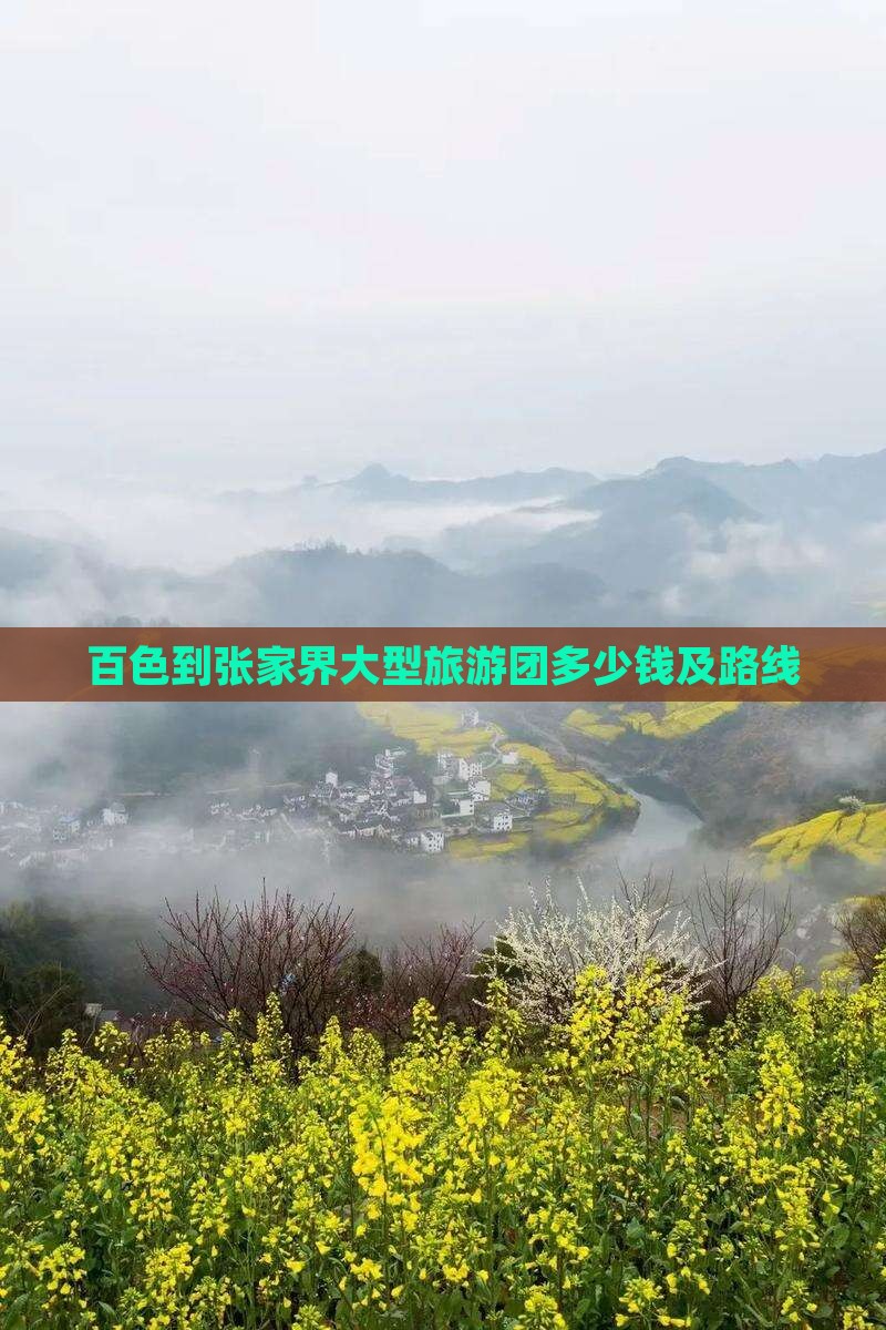 百色到张家界大型旅游团多少钱及路线