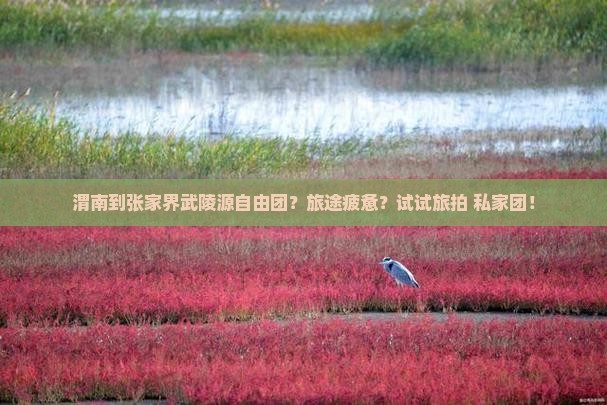 渭南到张家界武陵源自由团？旅途疲惫？试试旅拍+私家团！