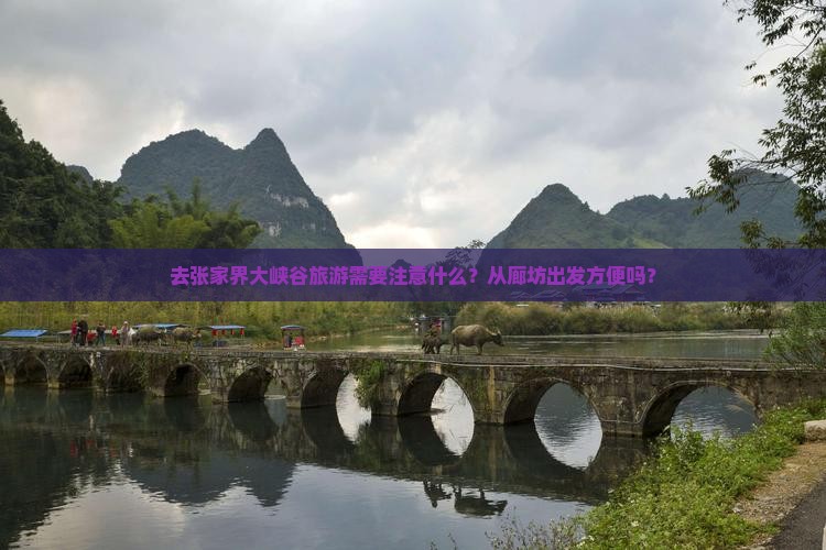去张家界大峡谷旅游需要注意什么？从廊坊出发方便吗？
